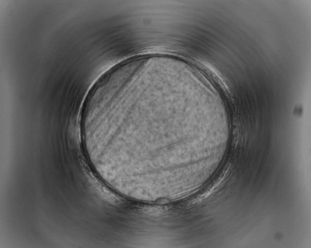X0000099510892200806121436