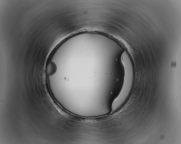 X0000099510894200806121436