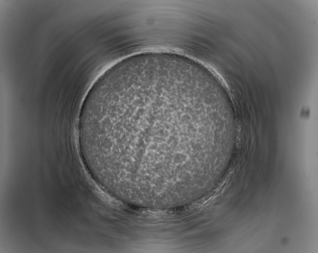 X0000099510895200806121436