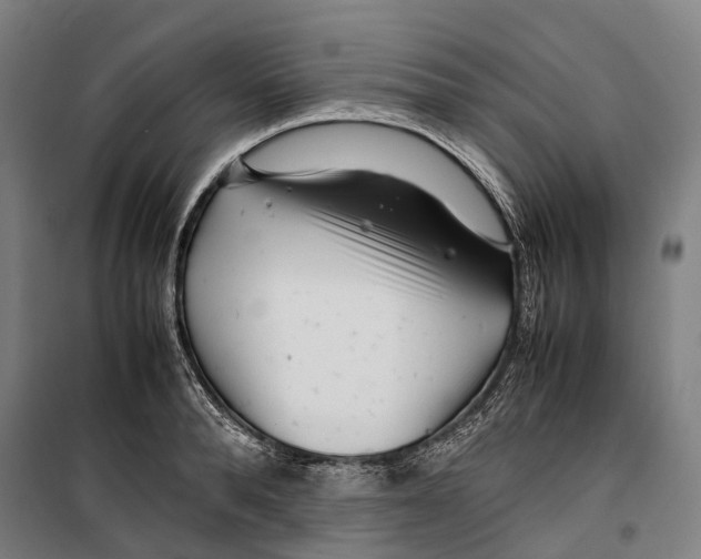 X0000099510896200806121436