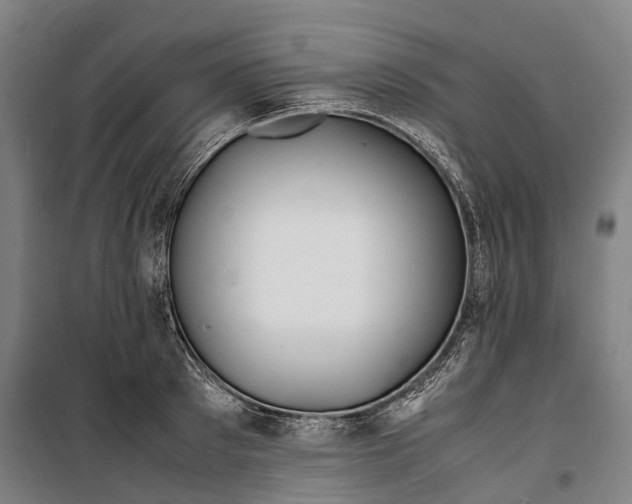 X0000099510897200806121436