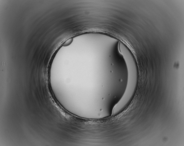 X0000099510898200806121436