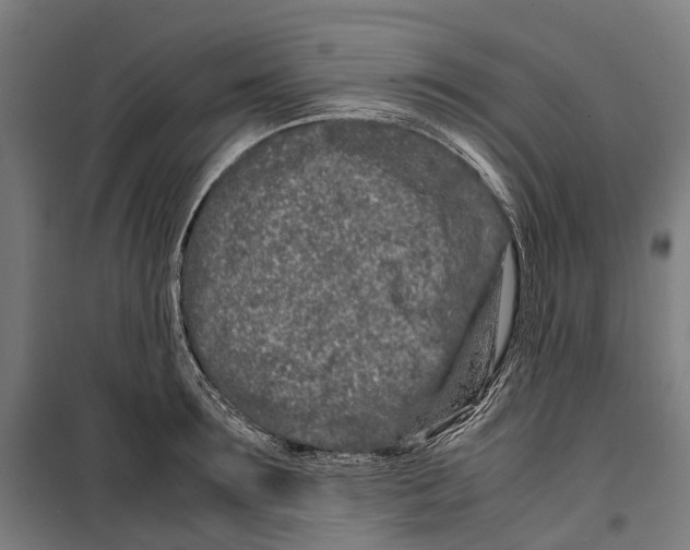 X0000099510899200806121436