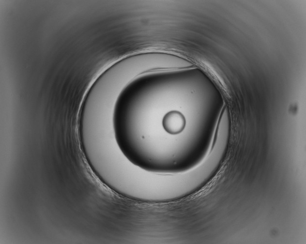 X0000099510900200806121436
