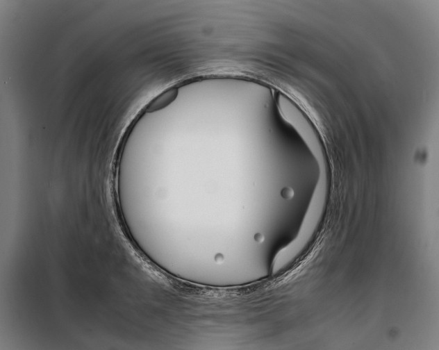 X0000099510901200806121436