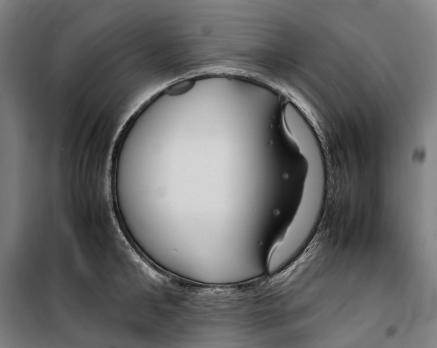 X0000099510902200806121436