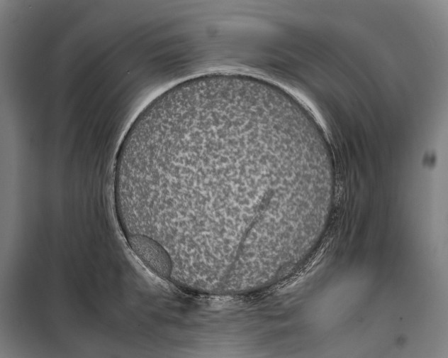 X0000099510903200806121436