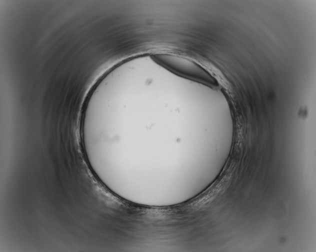 X0000099510904200806121436