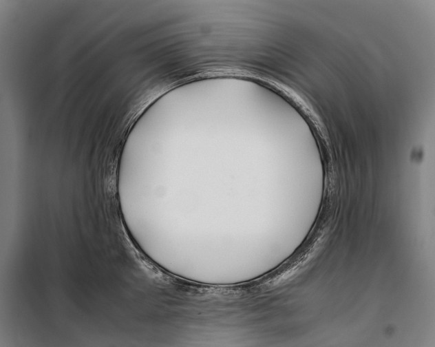 X0000099510905200806121436