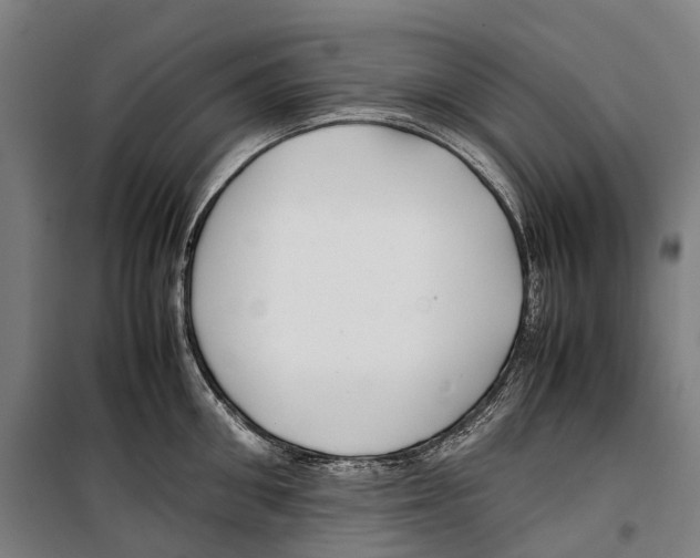 X0000099510906200806121436