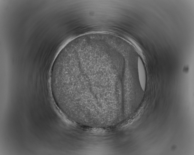 X0000099510907200806121436