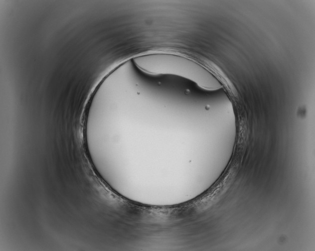 X0000099510908200806121436