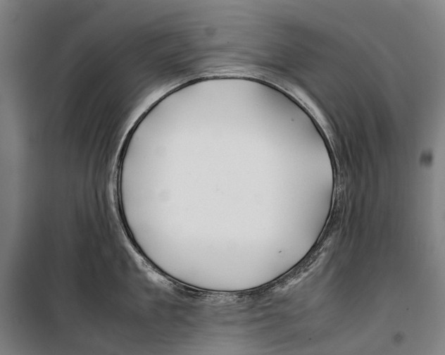 X0000099510909200806121436