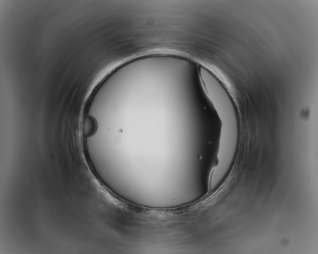 X0000099510910200806121436
