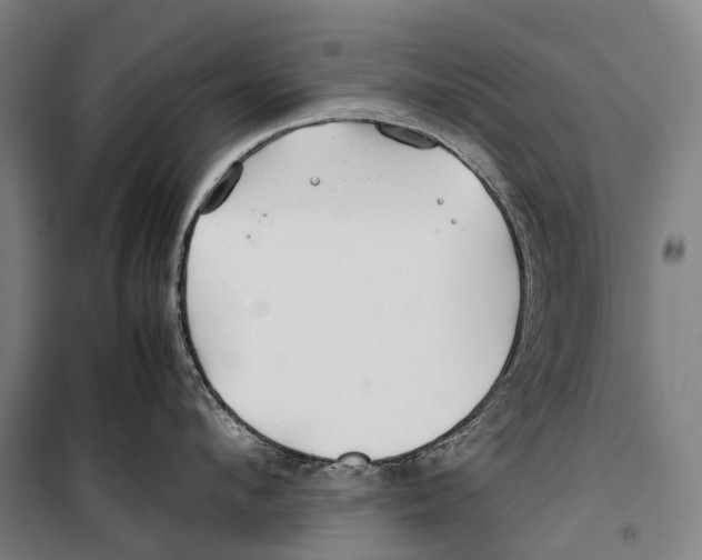 X0000099510912200806121436