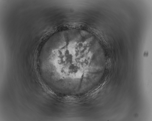 X0000099510913200806121435