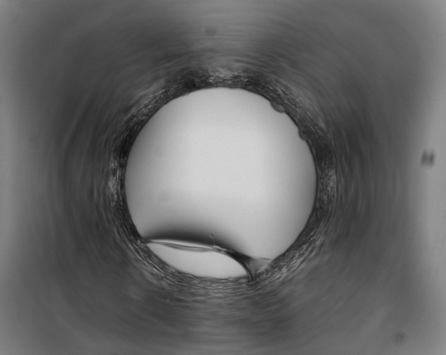X0000099510914200806121435