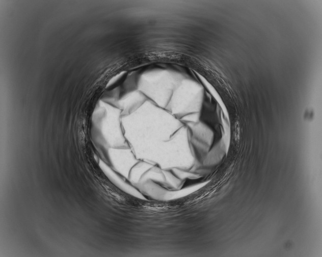 X0000099510915200806121435
