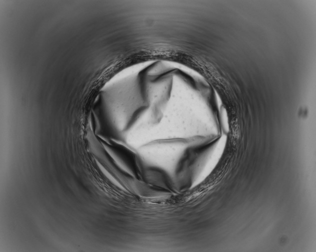 X0000099510916200806121435