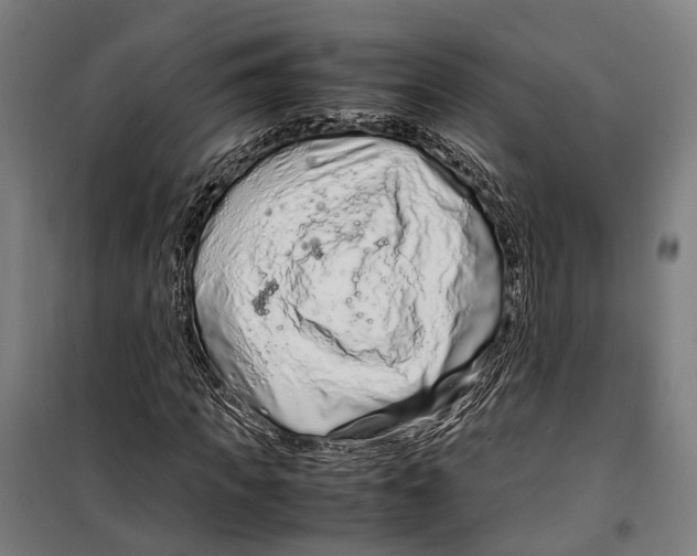 X0000099510917200806121435
