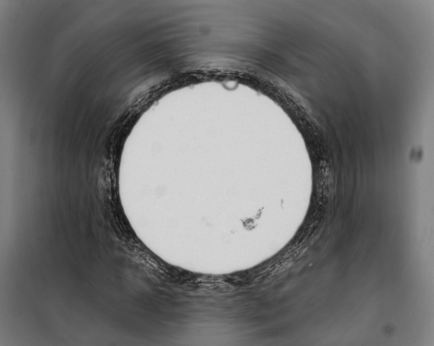X0000099510918200806121435