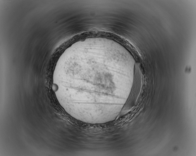 X0000099510919200806121435