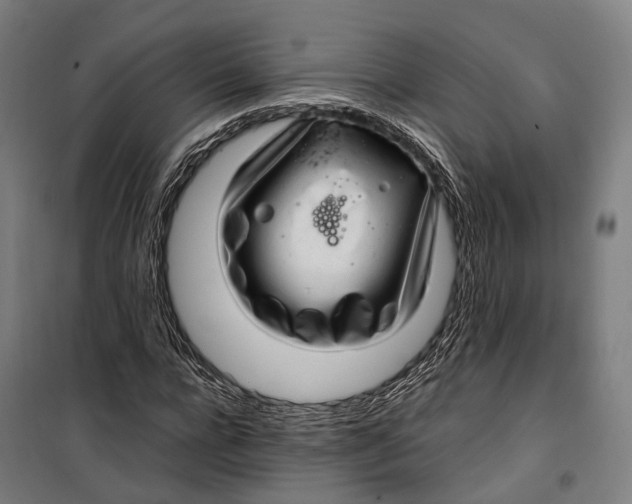 X0000099510920200806121435