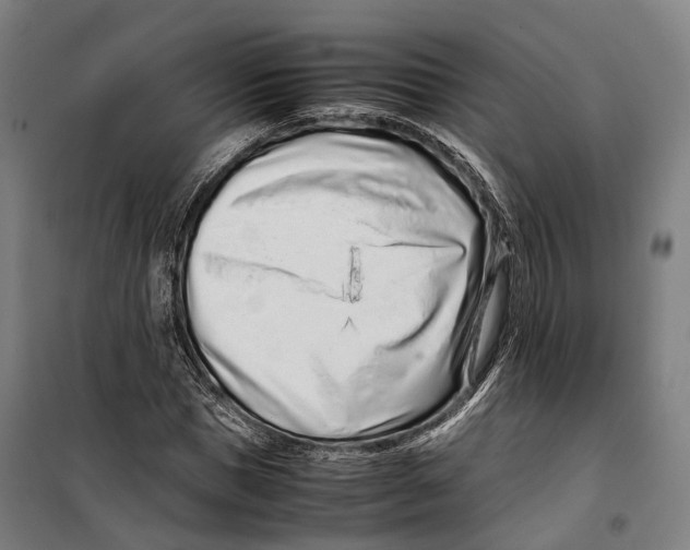 X0000099510921200806121435