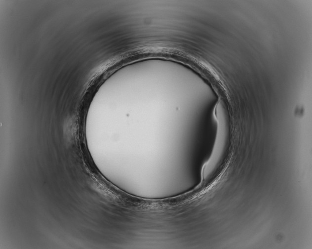 X0000099510922200806121435