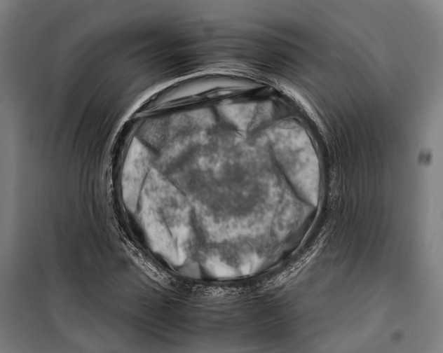 X0000099510923200806121435