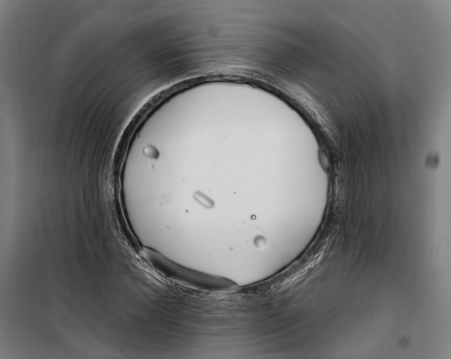 X0000099510924200806121435