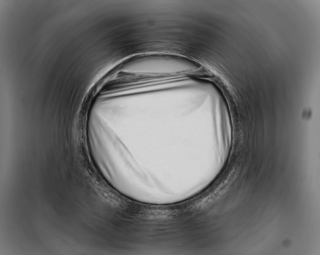 X0000099510925200806121435