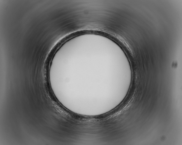 X0000099510926200806121435