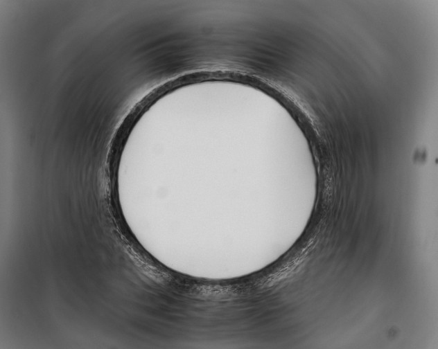 X0000099510927200806121435