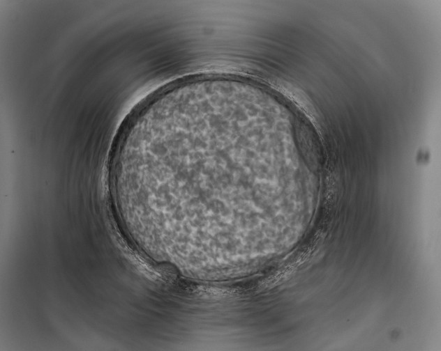 X0000099510928200806121435