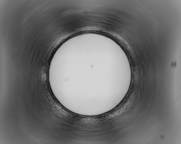X0000099510929200806121435