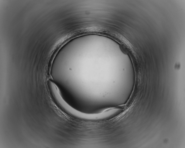 X0000099510930200806121435