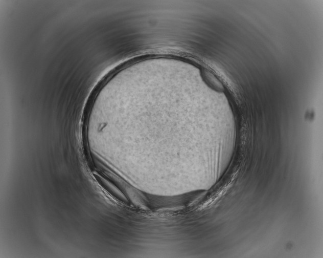 X0000099510932200806121435