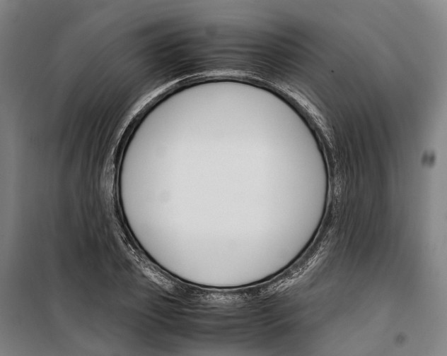 X0000099510933200806121435