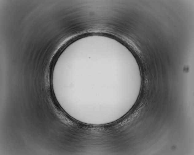 X0000099510934200806121435