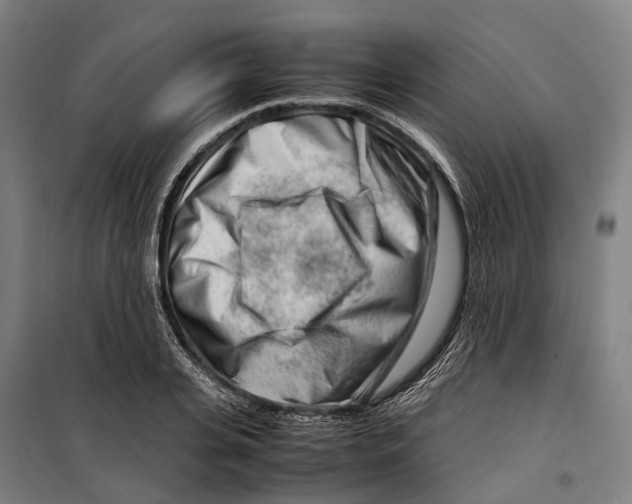X0000099510935200806121435