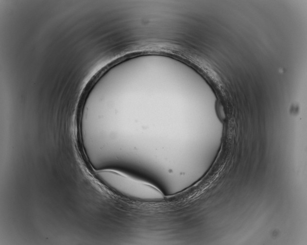 X0000099510936200806121435