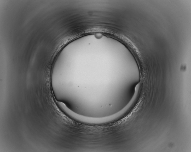X0000099510937200806121435