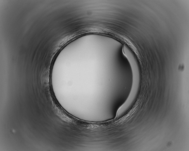 X0000099510938200806121435