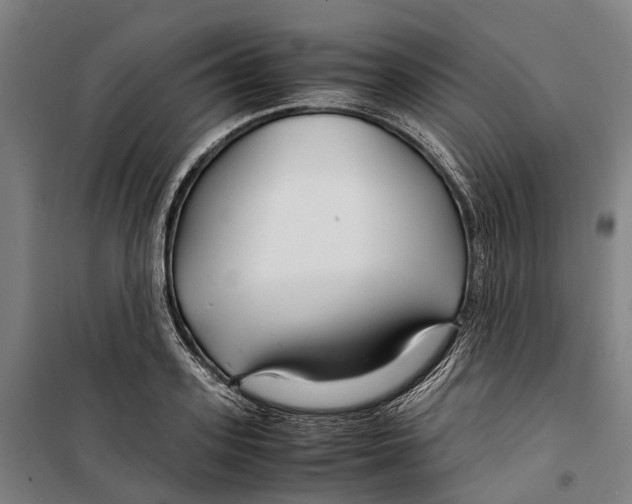 X0000099510939200806121435