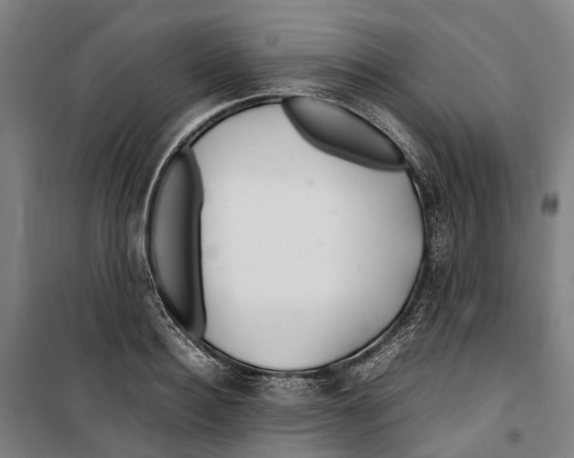 X0000099510940200806121435