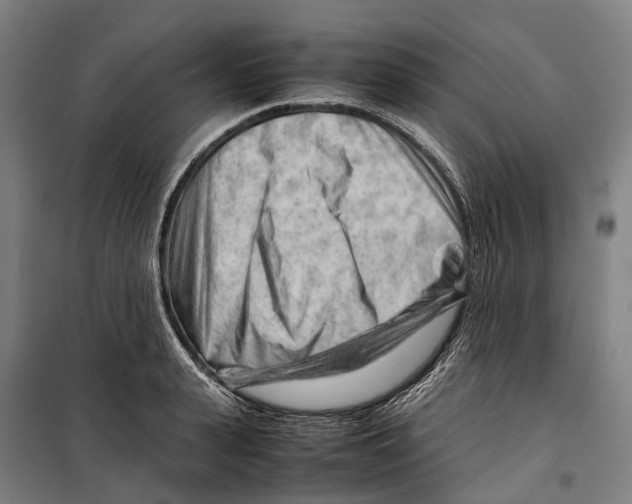 X0000099510943200806121436