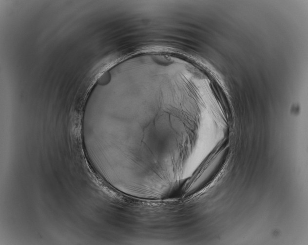 X0000099510945200806121436