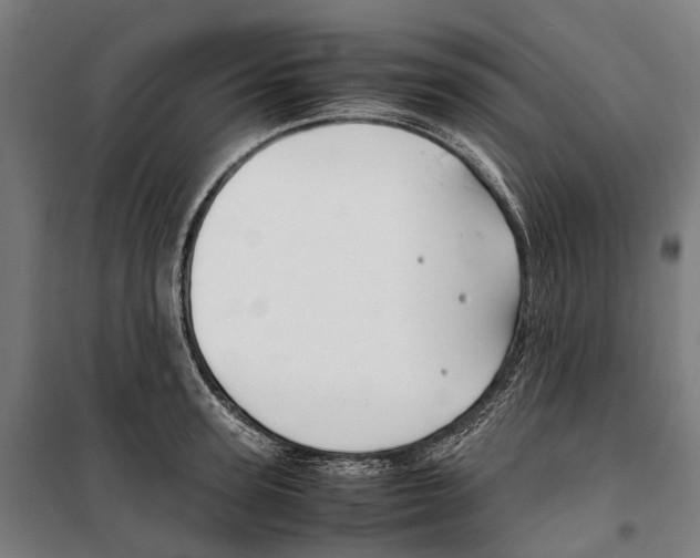 X0000099510947200806121436