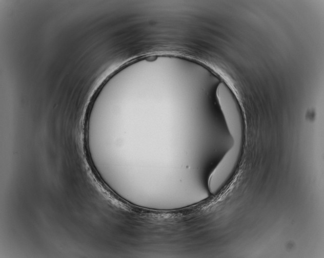 X0000099510949200806121436